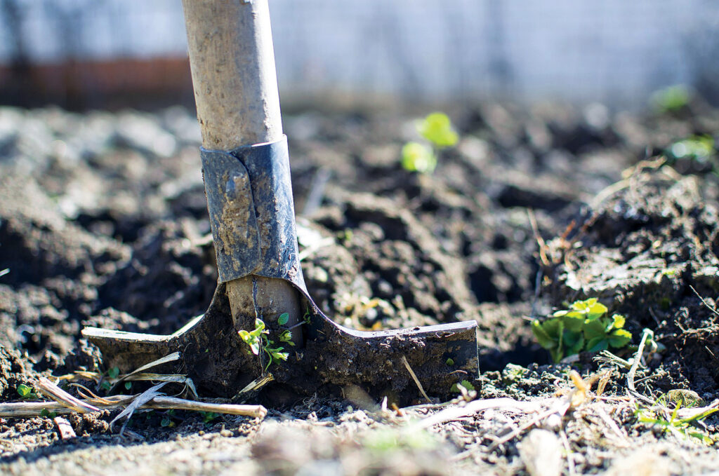 An image of a shovel placed in dirt with some greenery.