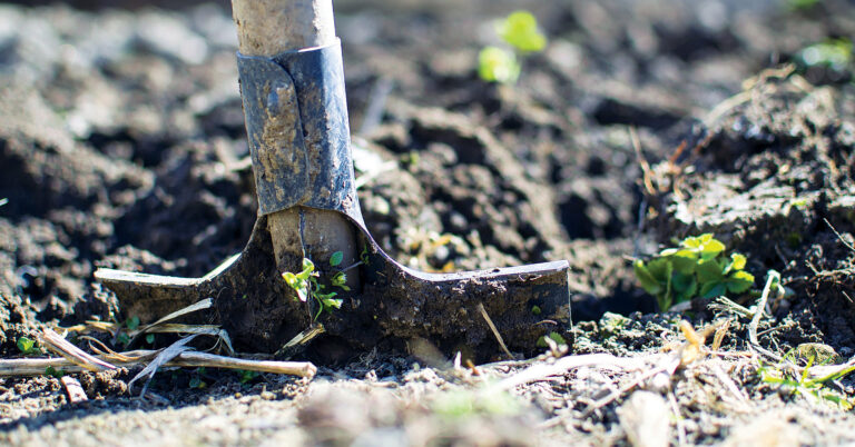 An image of a shovel placed in dirt with some greenery. This highlights the action that should wait until after you contact 811.